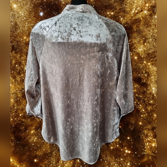 Cupio Women's Crushed Velvet Oversized Tunic Top In Feather Gray - Picture 5 of 10